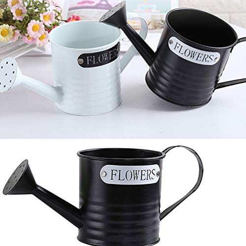 NICEXMAS 2 Pcs Regador de Planta Com Irrigador Flor de Jardim Planta Ao Ar Livre Planta Irrigadora d