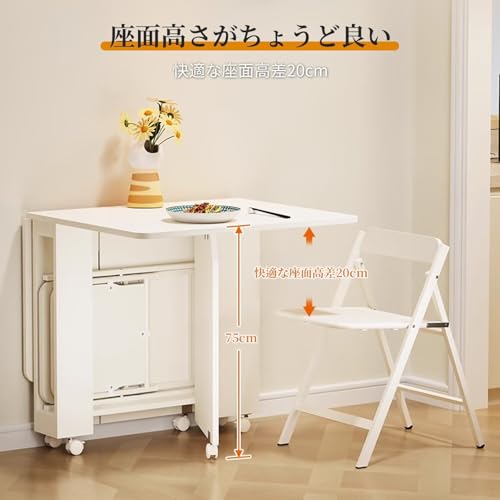 G-AVERIL 折りたたみダイニング椅子 ダイニングチェア 2脚セット椅子 餐椅 完成品 折りたたみダイニングチェア コンパクト収納可能 ホワイト [5]