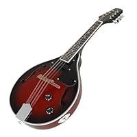 Amazon | 初心者 マンドリン楽器 マンドリン 8弦ギター Aスタイル