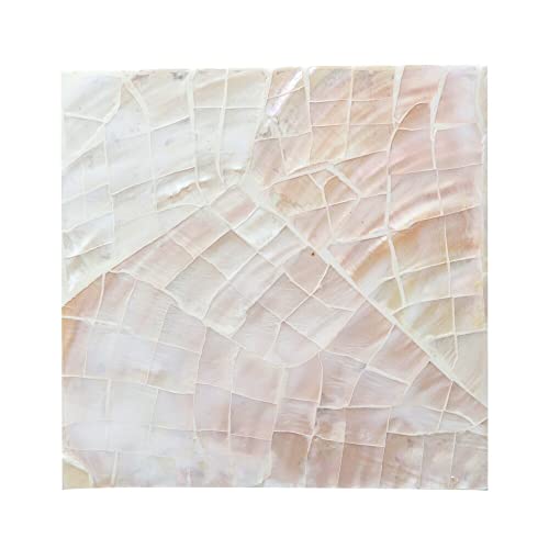 Asia-kobo p[VF̃R[X^[ pVF XNGA Pearlche lp AWAG c-vn51126-wh NbN/ʃzCg