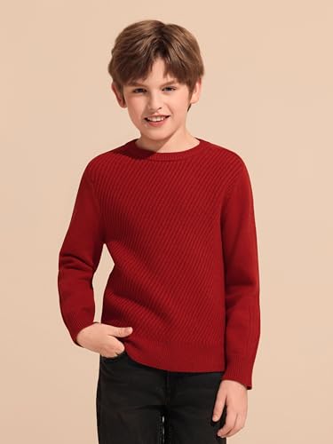 Haloumoning Boys Texture Sweater Kids Crewneck Long Sleeve Knit Pullover Sweater Fall Winter Clothes 5-14 Years2