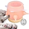 Puppy-Feeders-for-Multiple-Puppies-5-Teats-Puppy-Bottles-for-Nursing-Puppy-Milk-Feeder-Puppy-Nipple-Feeder-Puppy-Feeding-Station-17-fl-oz-Silicone-Puppy-Feeder-with-Nipples-Dog-Nursing-Supplies 5 Teats Puppy Bottles for Nursing