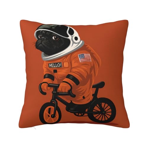 pO F  ] Jo[  NbVJo[xbhp ē~_炩G Rbgw 22"X22"