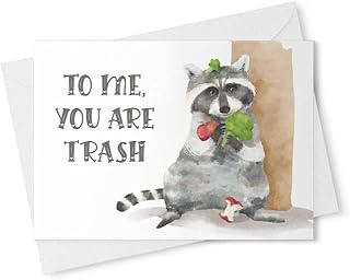 Raccoon Funny Birthday Card Trash Panda Valentines Day For Her Cute Valentine Love Anniversary Animal Friend Galentine Christmas Wife Girlfriend Husband Boyfriend Him Mothers Father - [00188]