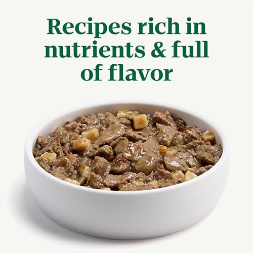 Image of Nutro Cuts in Gravy Wet Dog Food, Beef & Potato Stew, 3.5 oz, 24 Count
