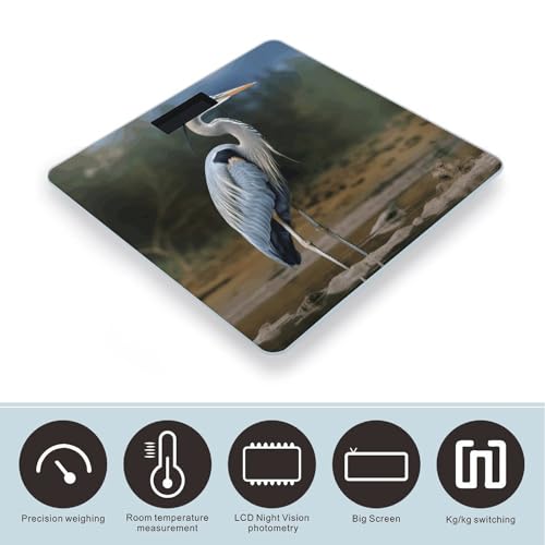 Báscula digital de baño con vidrio templado y pantalla LCD miniatura 3