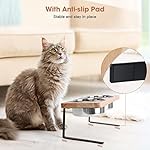 Elevated Cat Bowls, 15° Tilted Raised Cat Food Bowls Wood Pet Bowls with Stand Anti Vomiting 2 Stainless Steel Bowls for Cats and Puppy - Image 4
