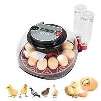 Couveuse pour Oeufs de Poule, Couveuse Automatique pour 12 Oeufs, Contrôle Automatique de la Température avec Affichage de l'humidité, Couveuse Rotative Automatique pour Oeufs