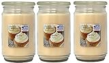 Mainstays 20oz Vanilla Scented Candles, 3-Pack