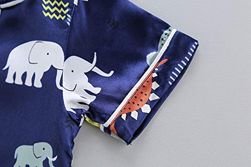 Plush Pajama Pants for Boys shirt Boys Baby Toddler Kids Dinosaur Set T Shorts Toddler Clothing 12 Months4