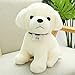 FGRSD Belle Simulation Monde célèbre Chien en Peluche Husky Teddy Chien Animal en Peluche Jouet bébé poupée Enfants Jouet Fille Cadeau 22 cm A