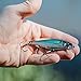Rapala Jointed Shad Rap 04 Fishing lure (Red Crawdad, Size- 1.5)
