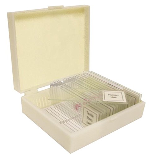 Vision Scientific VSH114 Prepared Slide Set – Forensics (Set of 17)