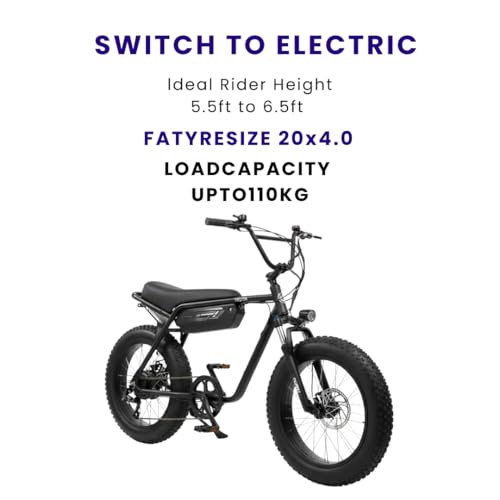 Image of VIGOREBIKE ZE