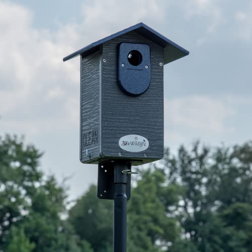 Jcs Wildlife Ultimate Eastern And Western Bluebird House - Made In The Usa With Recycled Poly Lumber - Viewing Window And Clean Out Door (Blue And Gray) #TOP6