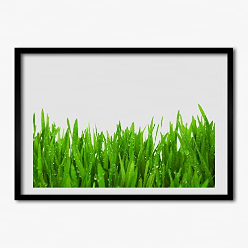 Tableau moderne Tulup herbe avec cadre en bois de qualite superieure 70x50