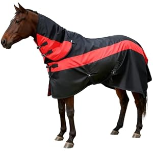Horse Blankets Winter