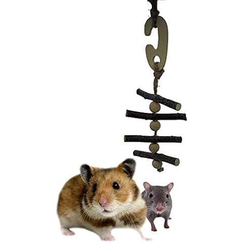 Wooden Chew Toy for Small Pets Cover