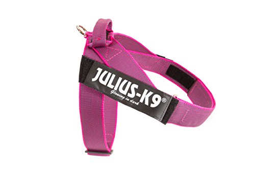 Julius-K9 Pettorina a Fascia Color & Gray, Taglia 1, Rosa/Grigio