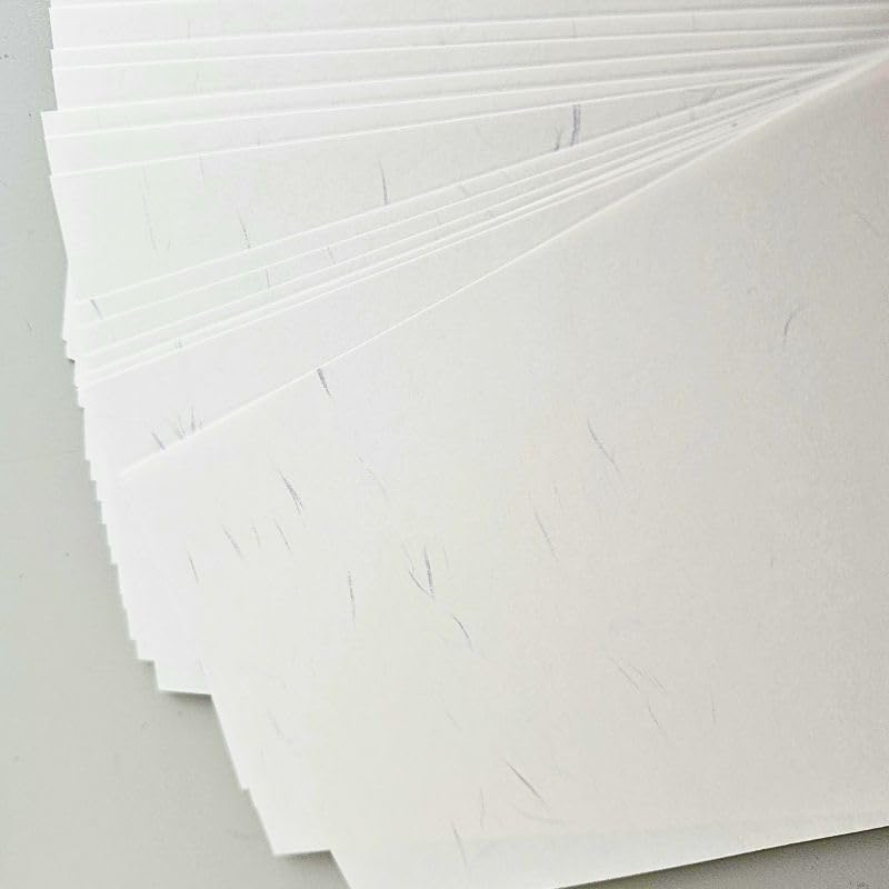 Amazon | 紙通販ダイゲン しこくてんれい白 A4/100枚 029011 | コピー