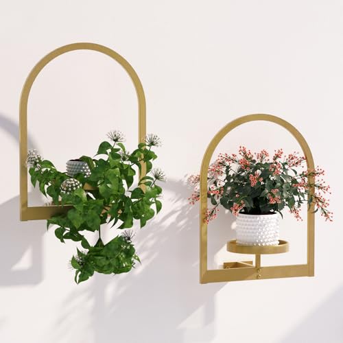 Image of Flenpptly Wall Plant Holder, Wall Planter for Indoor Plants, Window Plant shelves for Multiple Plants Indoor Outdoor, Framed Plant Holder for Home Decor (2 Pack)