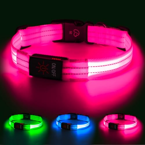 Leuchthalsband Hund, Hundehalsband Leuchtend Aufladbar mit Batteriekontrollleuchte, Wasserdichtes LED Hundegeschirr Leuchtend, Einstellbare Größe 3 Blinkende Lichter