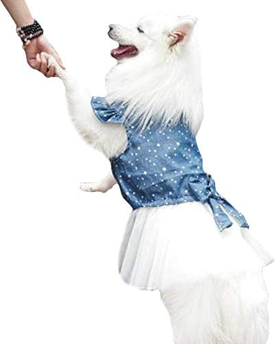 Polka Dot Big Large Dog Princess Dress Tutu Skirt Golden Retriever Pitbull Summer Dog Clothes Hoodie Costume (L, Blue)