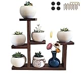 Decoeco Wooden Desktop Plant Stand Indoor Windowsill Plant Shelf Small Tabletop Plant Stand Display...