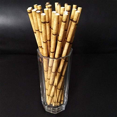 Kicko Bamboo Paper Straws - Pack Of 24 - 7.75 Inch Biodegradable Drinking Straws - Eco-Friendly - For Party Favors #TOP7