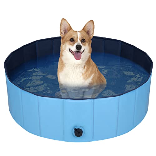 Decorlife Hard Plastic Pool For Dogs cover