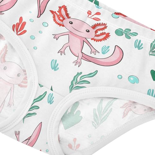 Cute Axolotls Toddler Girls's Underwear 2T 202c12714