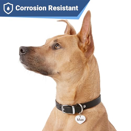 Image of GoTags Stainless Steel Pet ID Tags, Personalized Dog Tags and Cat Tags, up to 8 Lines of Custom Text Engraved on Both Sides, in Bone, Round, Heart, Bow Tie, Flower, Star and More (Heart, Small)