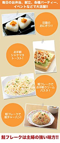 北海道産直グルメぼーの 北海道加工 鮭フレーク 680g D08