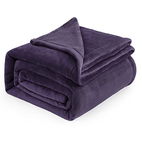 Image of Bedsure GentleSoft Fleece Blankets Queen Size Purple - Bed Blanket Soft Lightweight Plush Fuzzy Cozy Luxury Microfiber, 90x90 inches