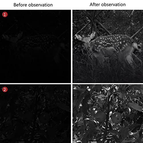 Monoculaire vision nocturne pour observer les animaux sans être vu
