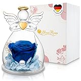 YourRoses - Ziegler&Ribant