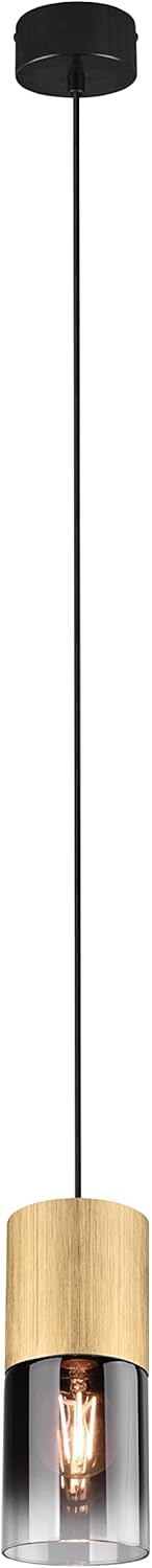 TRIO, Sospensione, Robin 1xE27, max.28,0 W Vetro, Fumé, Finitura: Metallo, Ottone satinato Ø:10,0cm, A:150,0cm IP20,Senza illuminante,Regolabile in altezza,Sorgente luminosa sostituibile