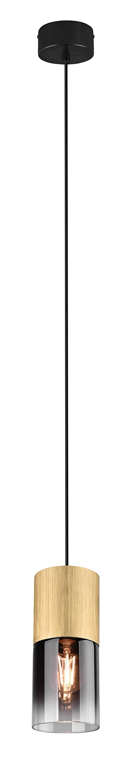 Trio Leuchten Lampa wisząca Robin 310600154, metal mosiądz matowy, szkło w kolorze przydymionym, ekskluzywna 1 x E27