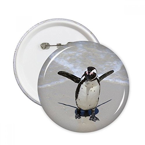 Badge pingouin coffret cadeau original pour amateurs de sciences naturelles
