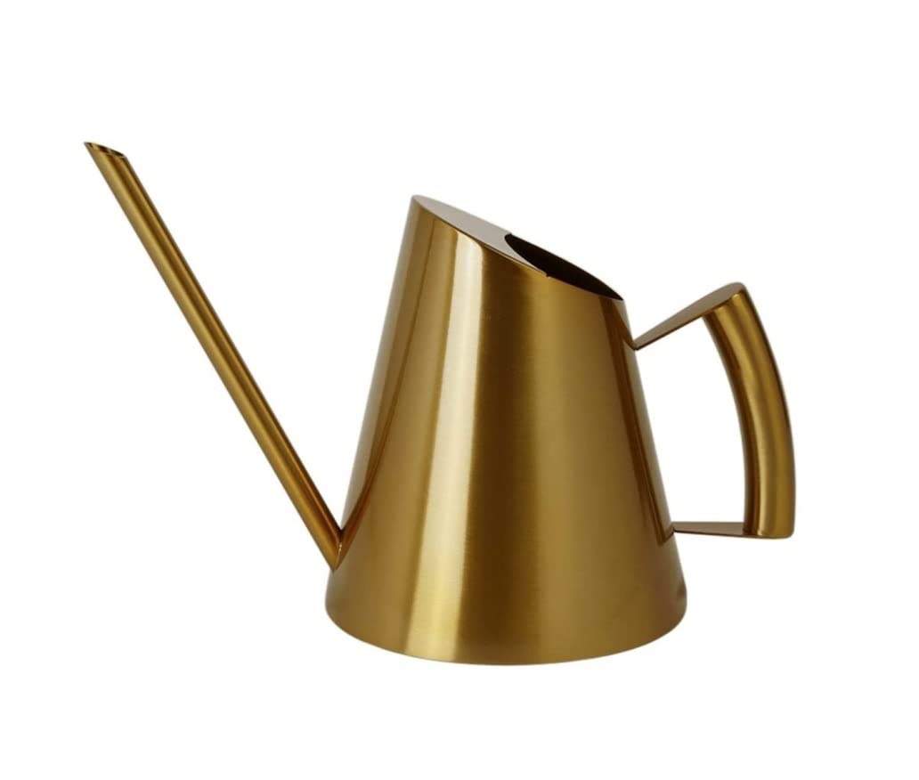 Arrosoir Arrosoir Pour Plantes D'intérieur Arrosoir En Acier Inoxydable Outils De Jardinage Rétro Pour La Maison Arrosoir Bonsaï Arrosoir Arrosoir Plante Interieur ( Color : Gold , Size : 28*14.3*17.5