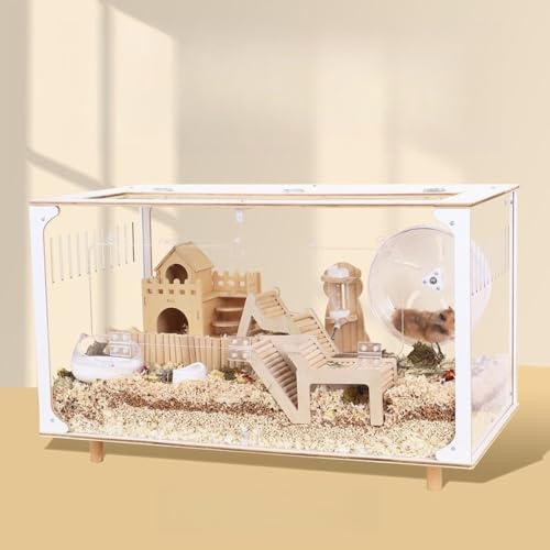 nX^[P[WAP[WA^AANALXy[XAB80cmAʋCAJfUC Youlines (C,80CM)