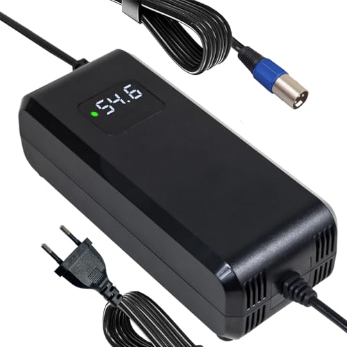 Chargeur 54.6V 4A de batterie 48V pour simplifier vos trajets quotidiens en ville