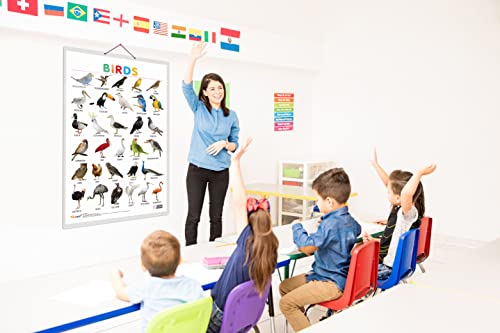 Image of GO WOO Combo of 2 Alphabet and Birds Educational Posters for Preschool Kids Classroom Study | Learning- Charts for Kids Learning (20 inchX30 inch Inches)