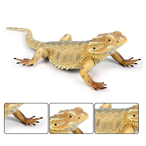 Rich Boxer Lizard Figurine Realistic Plastic Lizard Reptile Figurine For Collection Science Educational Prop #TOP2