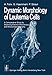 Produktbild Dynamic Morphology of Leukemia Cells: A Comparative Study by Scanning Electron Microscopy and Microcinematography