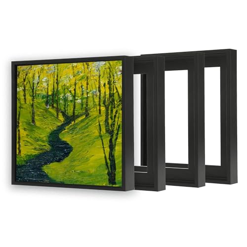 4 Pack Floater Frames for 14"x14" Art Paintings with 0.6"~0.9" Deep Black