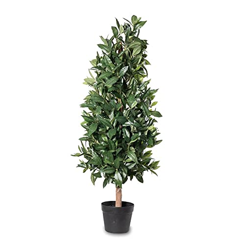 moss pole for monstera PlantScraper D-Shaped Moss Poles – Stackable Support for Climbing Plants