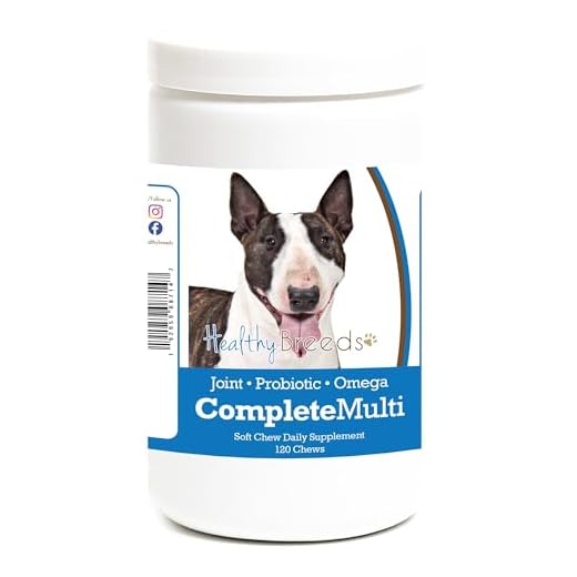 Healthy Breeds Miniature Bull Terrier All in One Multivitamin Soft Chew 120 Count