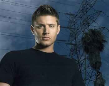 41MP-Fbf4sL._AC_UF350,