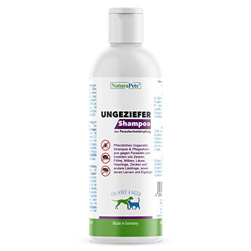 Milben Shampoo Hund • Top 5 Modelle am Markt im Vergleich